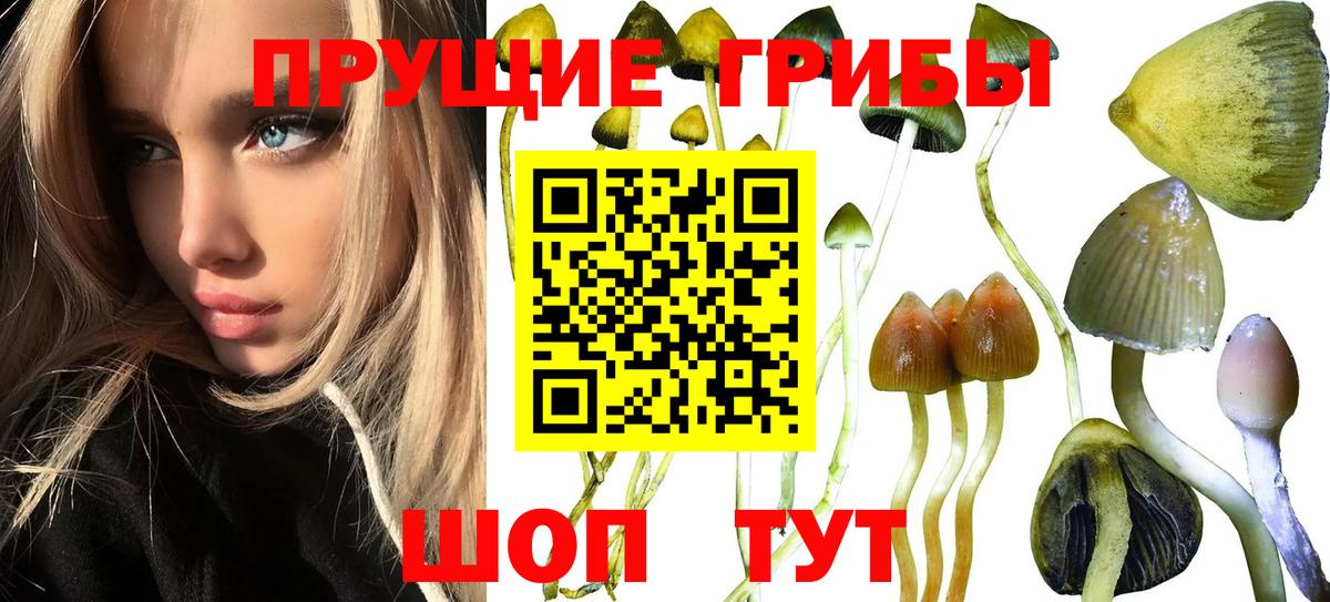 купить   Псилоцибиновые грибы Magic Shrooms  Сочи  Вход с VPN  Галлюциногенные грибы мицелий 